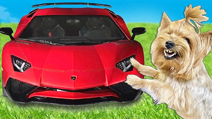 КОРОЧЕ ГОВОРЯ построил ЛАМБОРГИНИ для ЗЛОГО ПСА !
