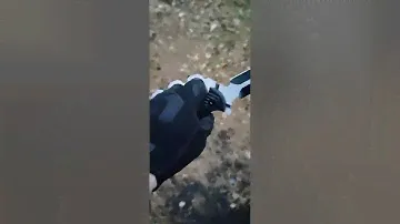 Трофейный окопник. 🤙