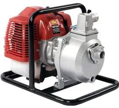 Мотопомпа бензиновая DDE WP250 (вых 25 мм/1" дв 43 см3/1,9 л.c. выс 45 м 10 м3/час) (919-891)